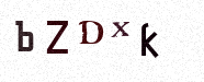 Visual Confirmation Security Code