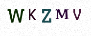 Visual Confirmation Security Code