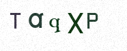 Visual Confirmation Security Code