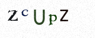 Visual Confirmation Security Code