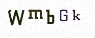 Visual Confirmation Security Code