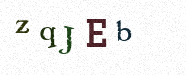 Visual Confirmation Security Code