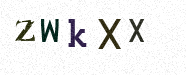 Visual Confirmation Security Code