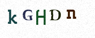 Visual Confirmation Security Code