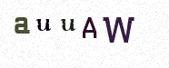 Visual Confirmation Security Code
