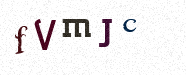 Visual Confirmation Security Code