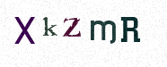 Visual Confirmation Security Code